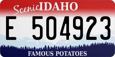 ID license plate E504923