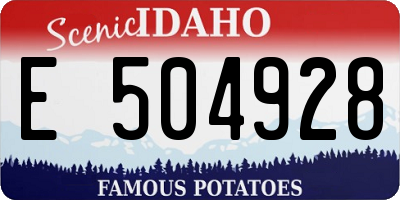 ID license plate E504928