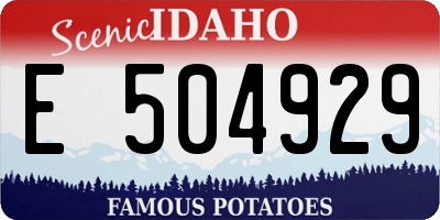 ID license plate E504929