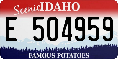 ID license plate E504959