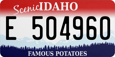 ID license plate E504960