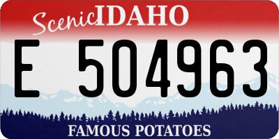 ID license plate E504963