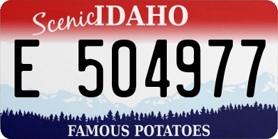 ID license plate E504977