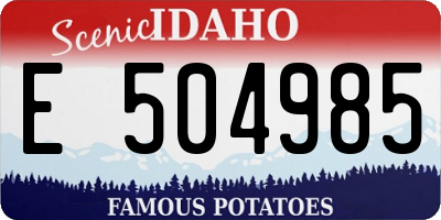 ID license plate E504985