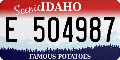 ID license plate E504987