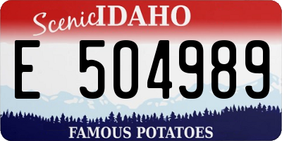 ID license plate E504989