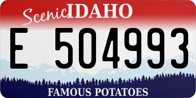 ID license plate E504993