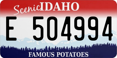 ID license plate E504994