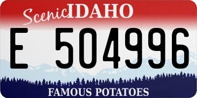 ID license plate E504996