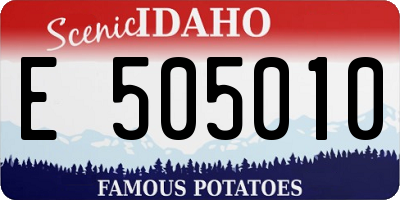 ID license plate E505010
