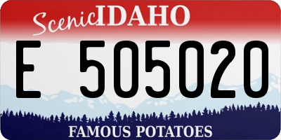 ID license plate E505020