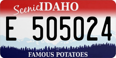 ID license plate E505024