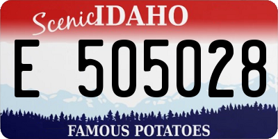 ID license plate E505028