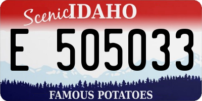 ID license plate E505033
