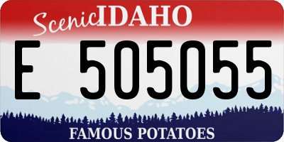 ID license plate E505055