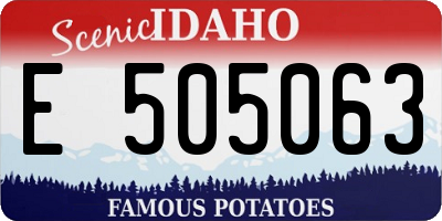 ID license plate E505063