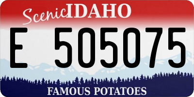 ID license plate E505075