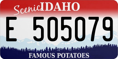 ID license plate E505079
