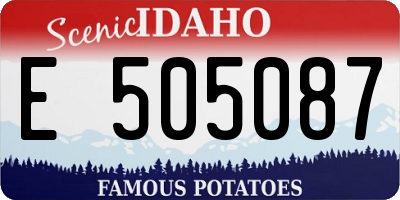 ID license plate E505087