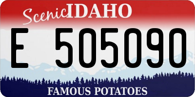 ID license plate E505090