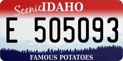 ID license plate E505093
