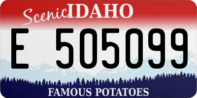 ID license plate E505099