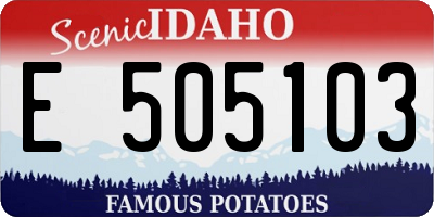 ID license plate E505103