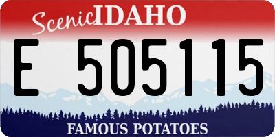 ID license plate E505115