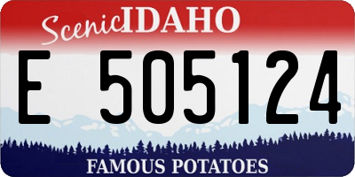 ID license plate E505124