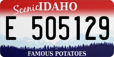 ID license plate E505129