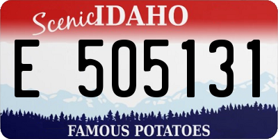 ID license plate E505131
