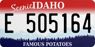 ID license plate E505164