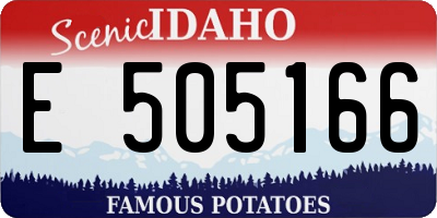ID license plate E505166
