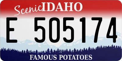 ID license plate E505174