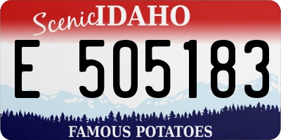 ID license plate E505183
