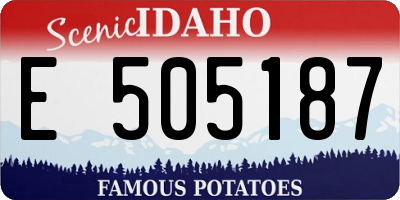 ID license plate E505187