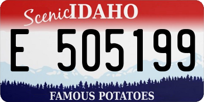 ID license plate E505199