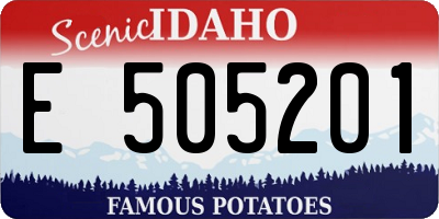 ID license plate E505201