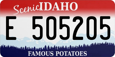 ID license plate E505205