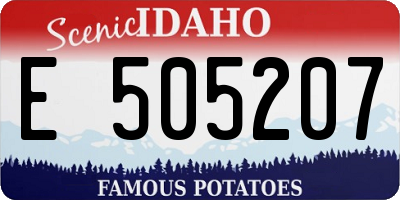 ID license plate E505207
