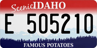 ID license plate E505210