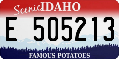 ID license plate E505213