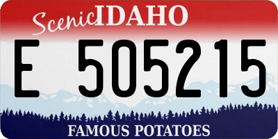 ID license plate E505215