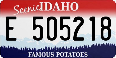 ID license plate E505218