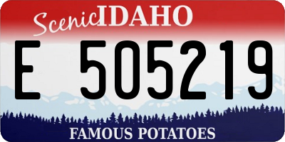 ID license plate E505219