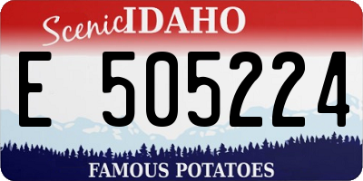 ID license plate E505224