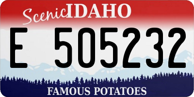 ID license plate E505232