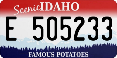 ID license plate E505233
