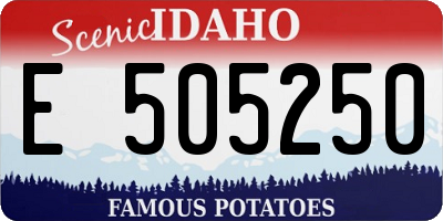 ID license plate E505250