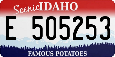 ID license plate E505253